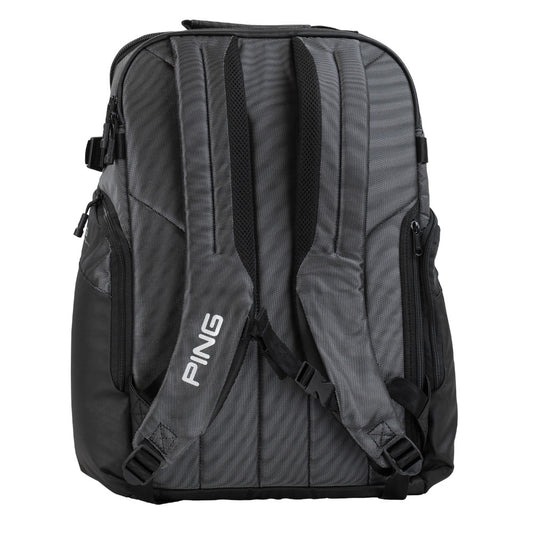 Ping Zaino 2022