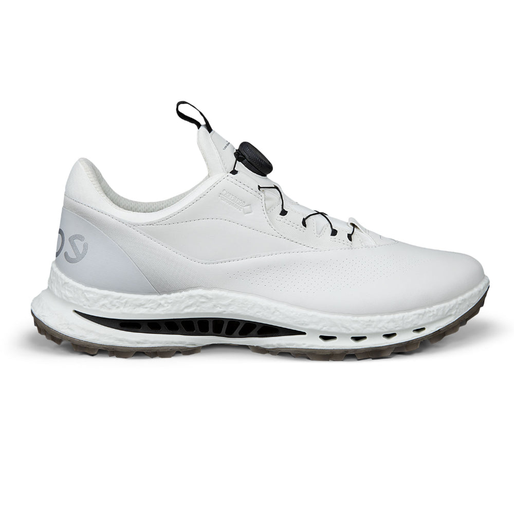 Ecco M Biom C5 BOA Scarpe da Uomo