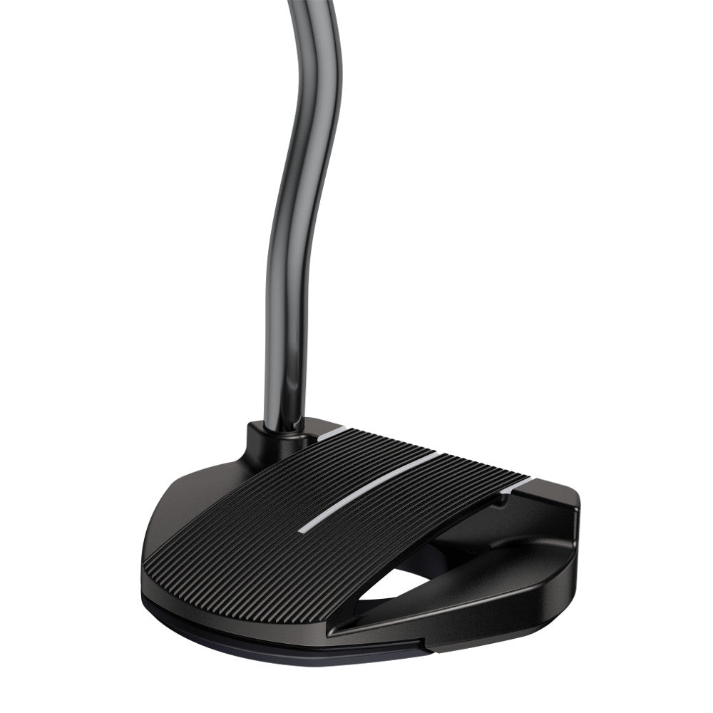 Ping 2021 Putter Fetch