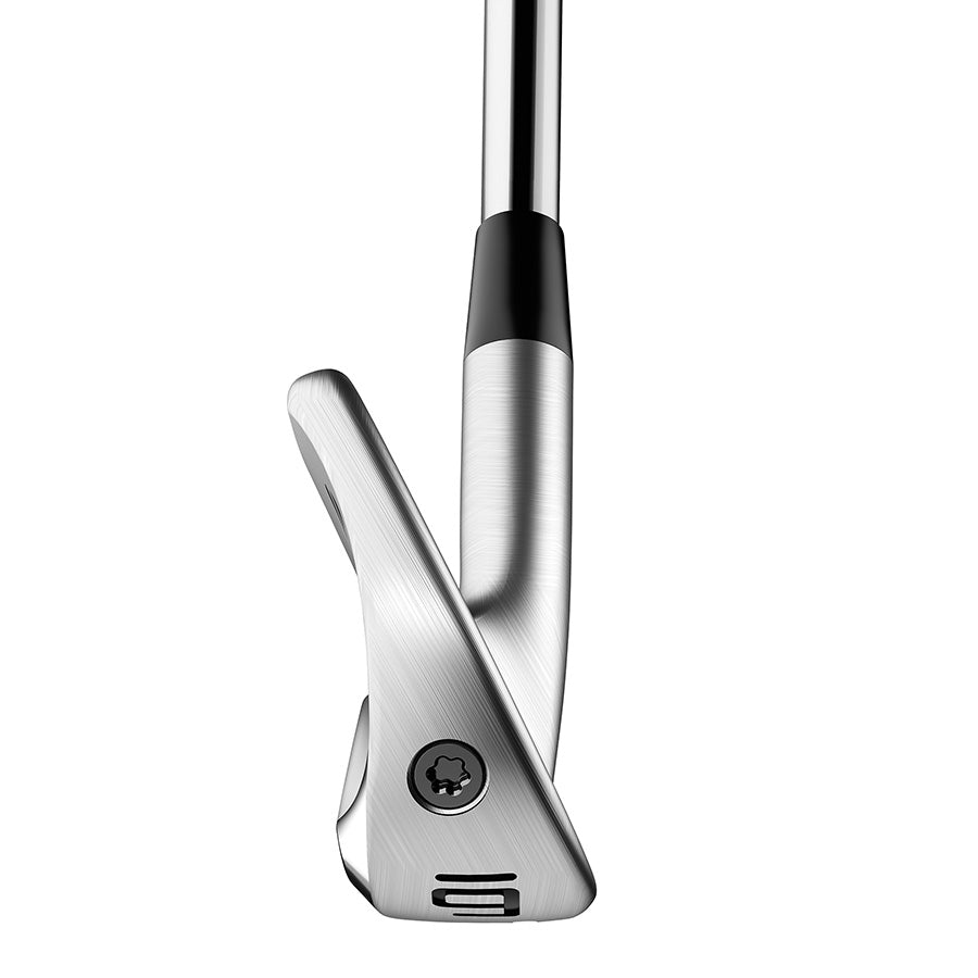 TaylorMade P770 Ferri Toe